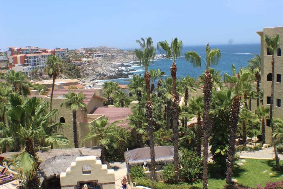 View from Terrace