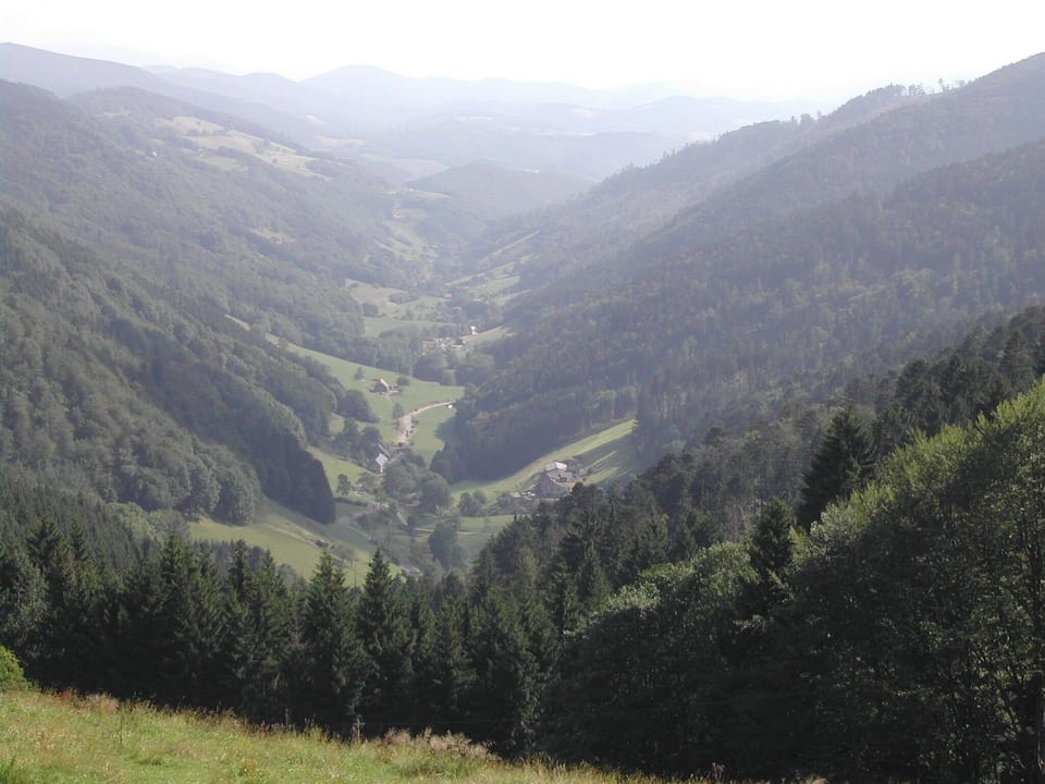 Gîte chez Jean-Pierre " LES HIRONDELLES" F2- 100€ for1 night ( 2nights min) House in Vosges
