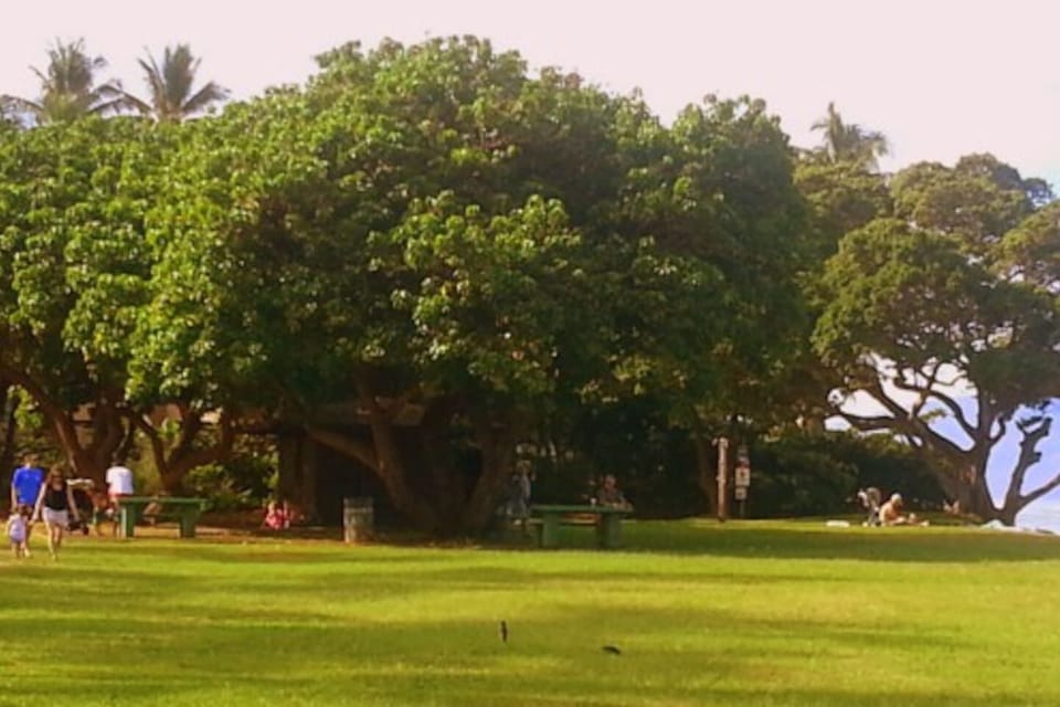 Honokawai Beach Park Just North of Maui Sands.