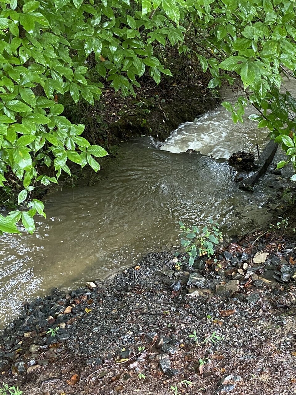 Stream at back of property