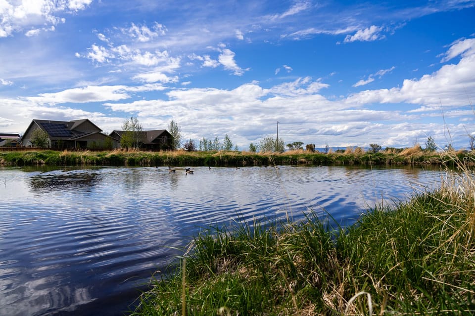 Ponds throughout the neighborhood and walking trails.