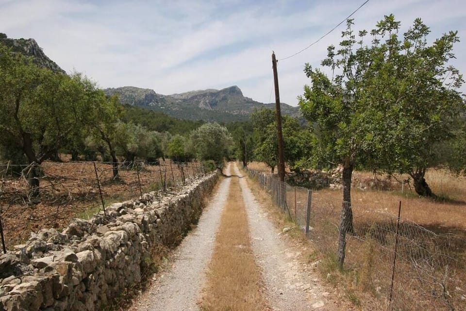 Casa Guillo, Pollensa (20)