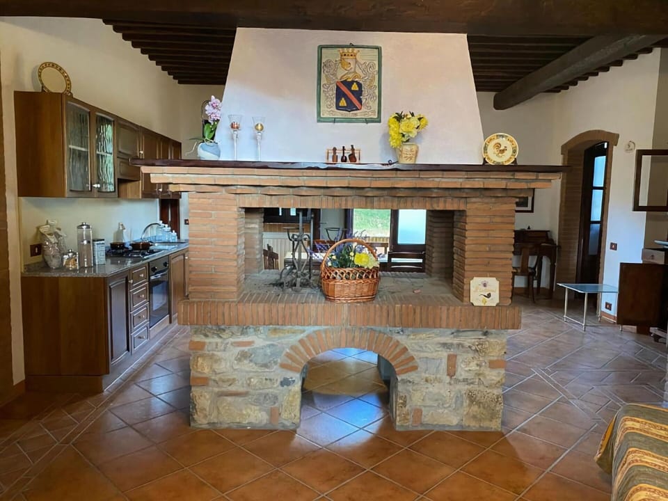 House | Living area | Fireplace