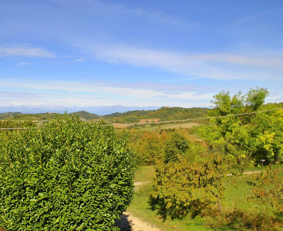 House | View from property