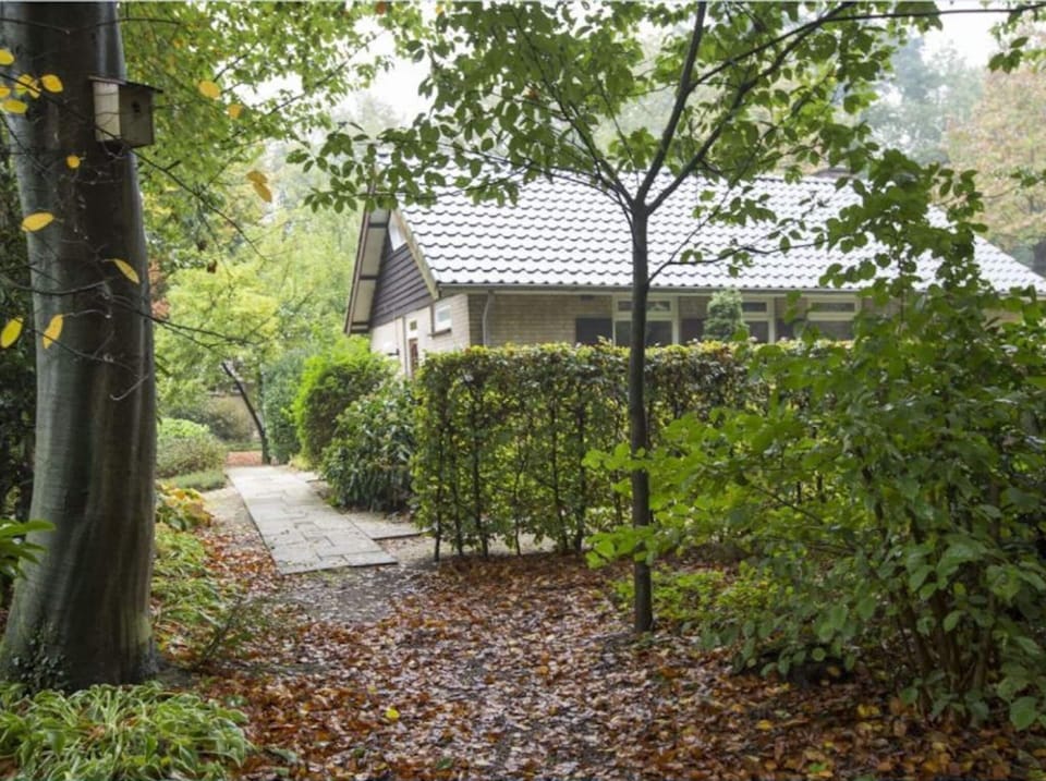 Bungalow | Exterior