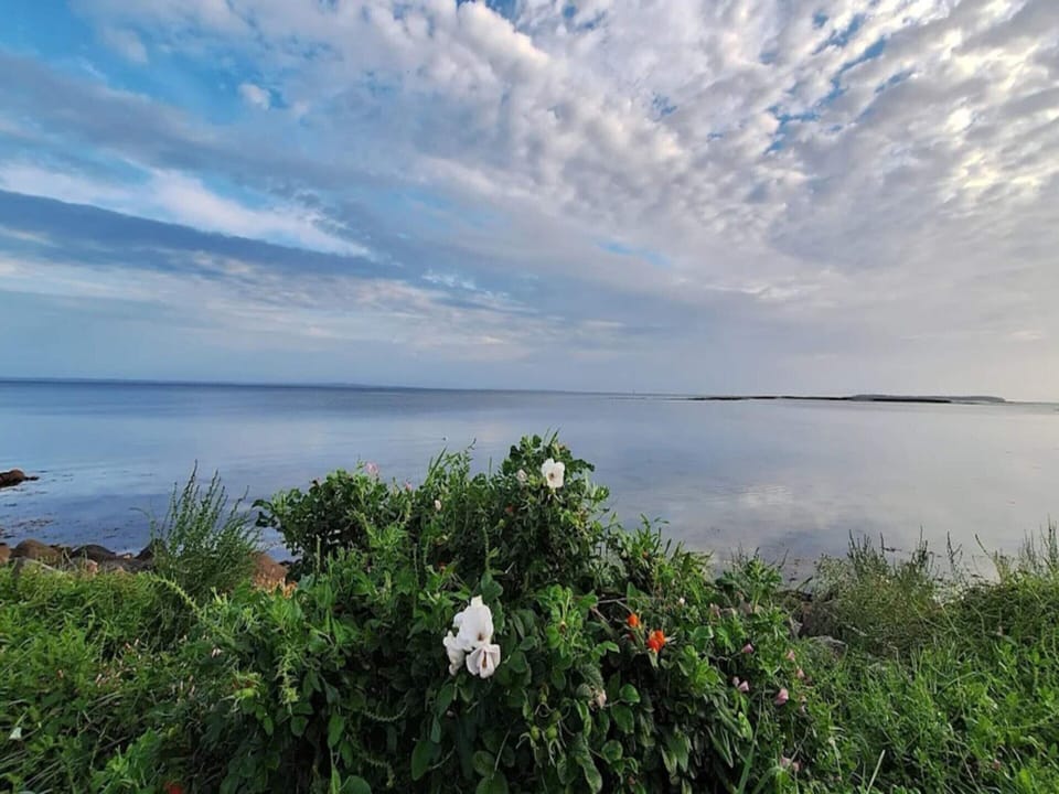 House | Water view