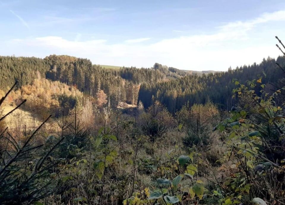 House | View from property