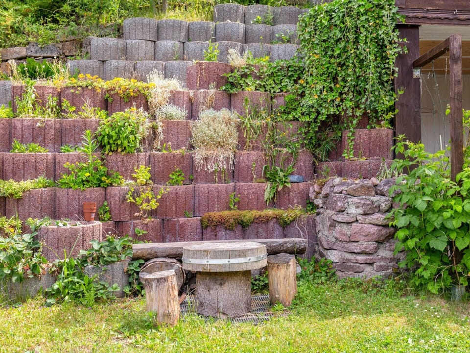 Apartment | Garden