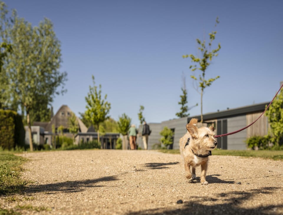 Luxury Lodge with 2 Bathrooms near Markermeer Bed and Breakfast in Flevoland, Netherlands