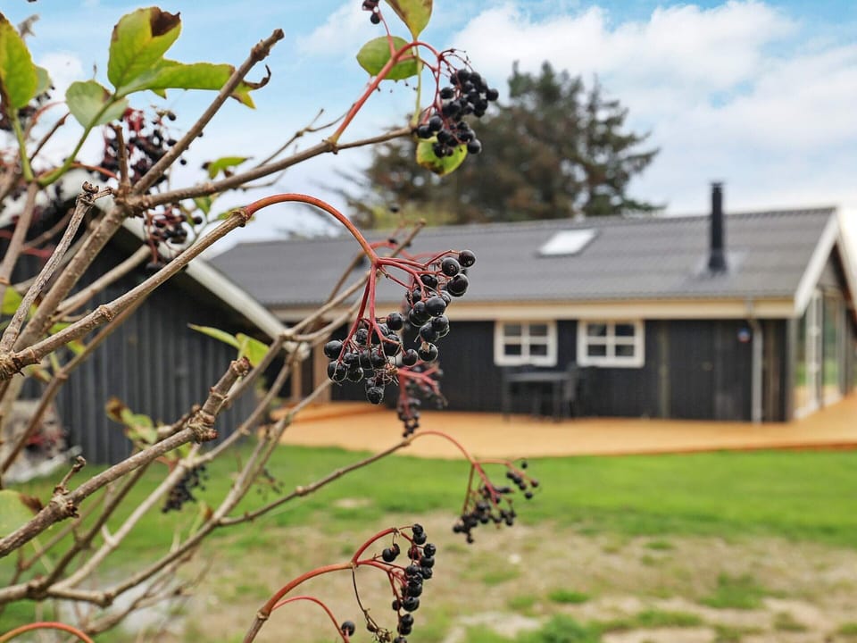 House | View from property