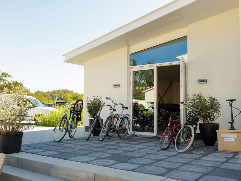 House | Property grounds