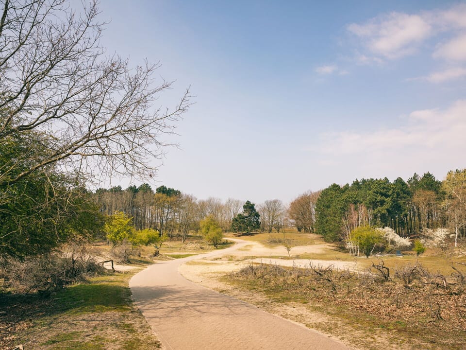 House | View from property