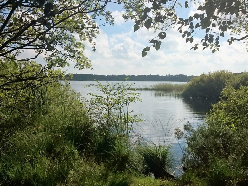 House | Water view