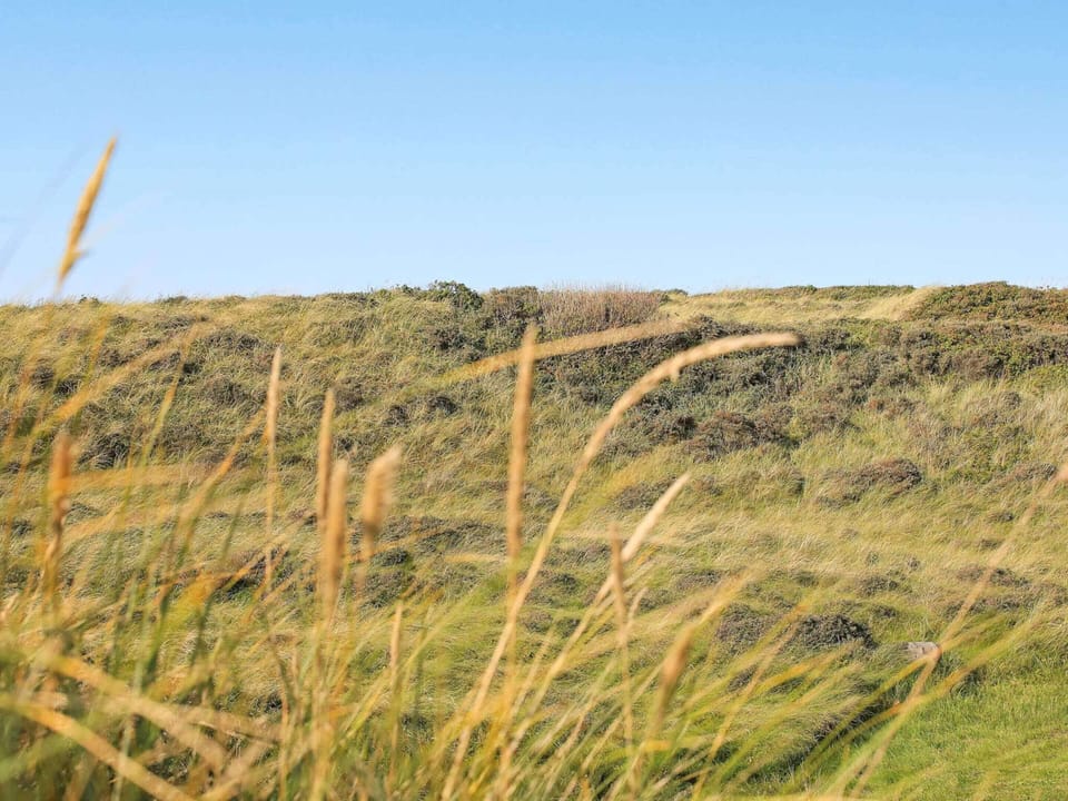 House | Miscellaneous