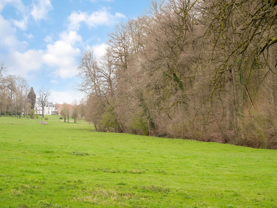 House | View from property