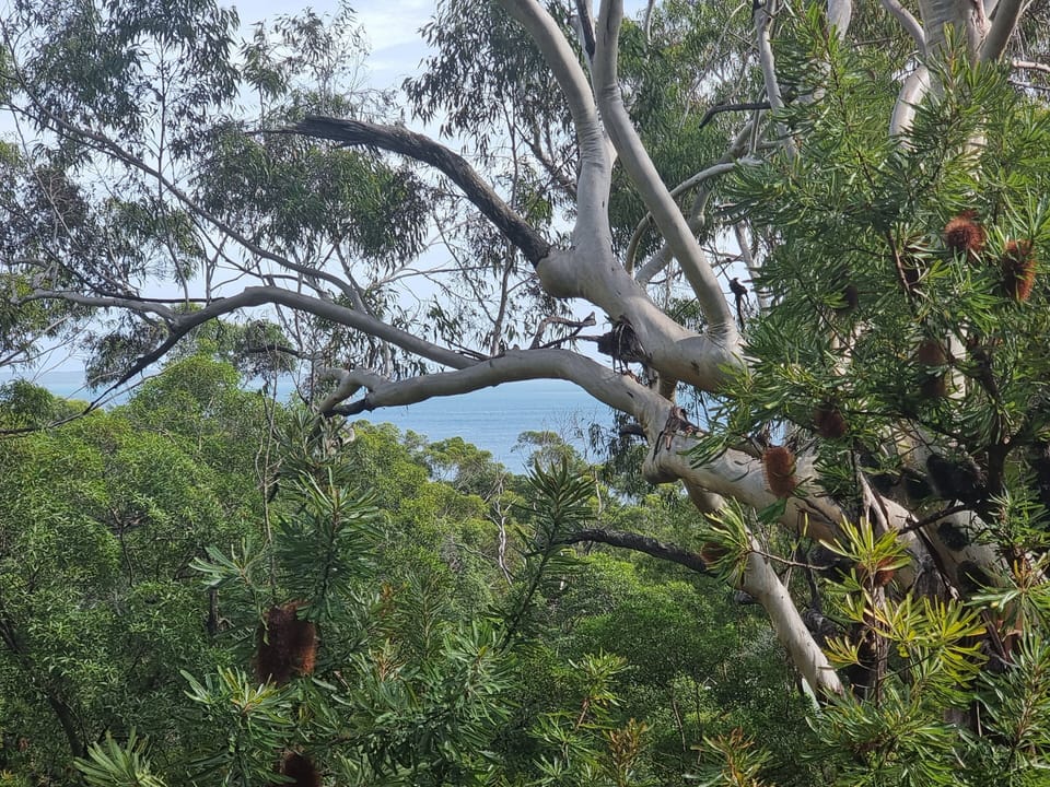 Enjoy the views from the deck