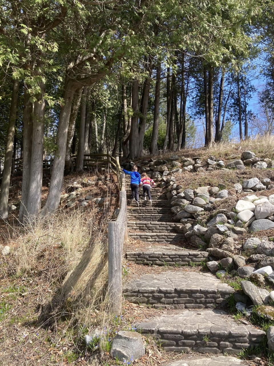 Trail near the Egg Harbor Public Beach playground area