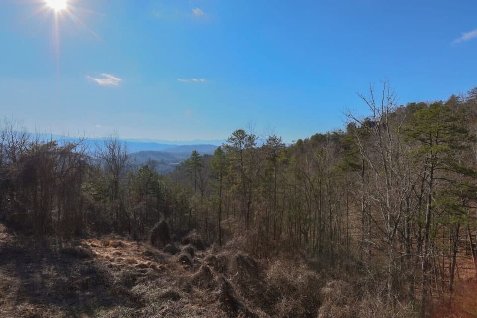 Great Smoky Mountains!