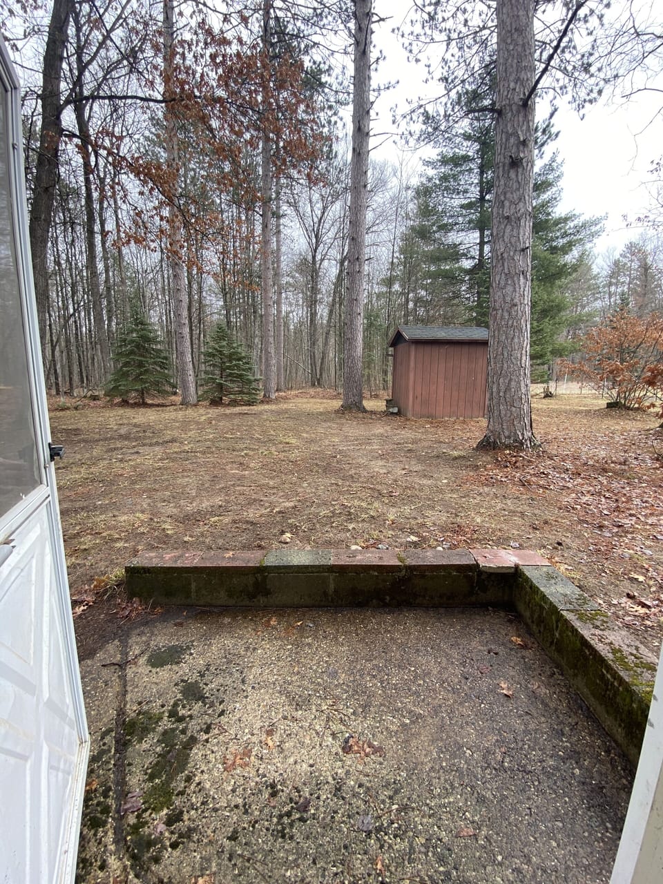 Back yard