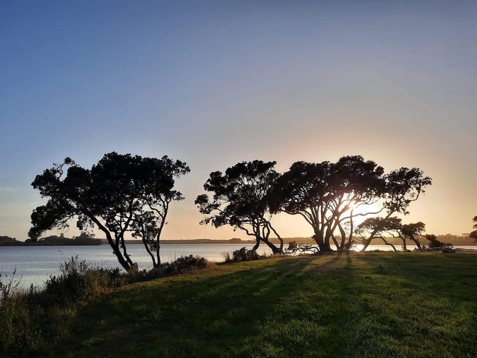 3 minute walk to local estuary (at sunrise)