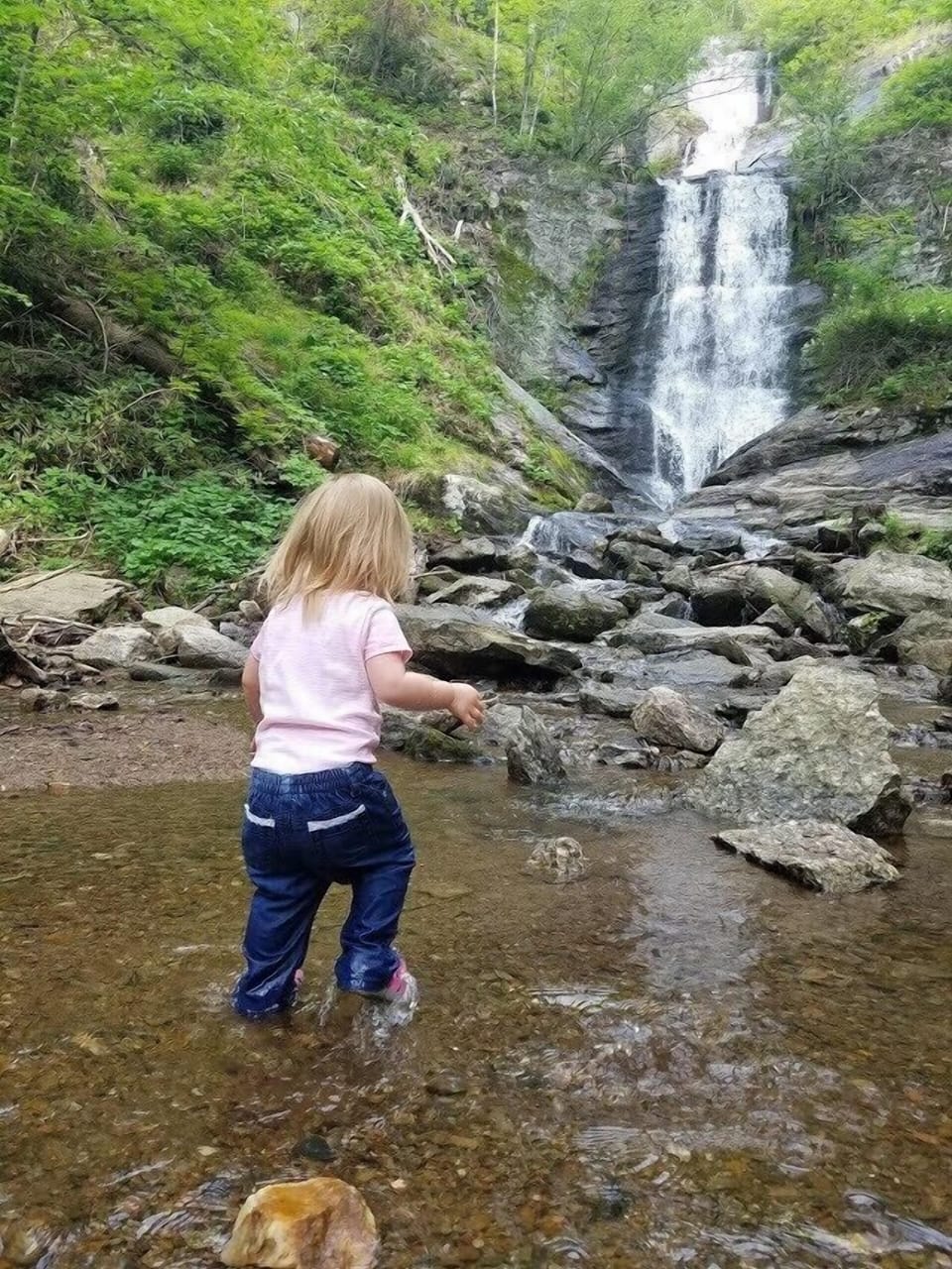 A quick drive to an easy hike to Tom’s Creek Falls. 