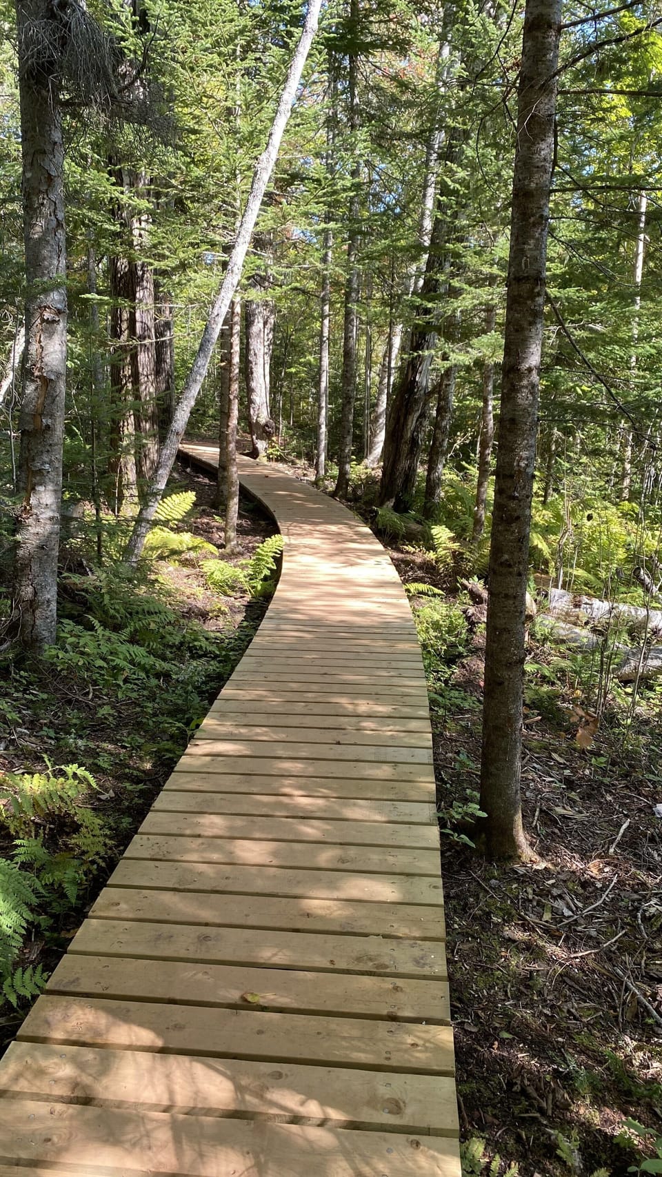 Hollow Trail  / Bonshaw Park 