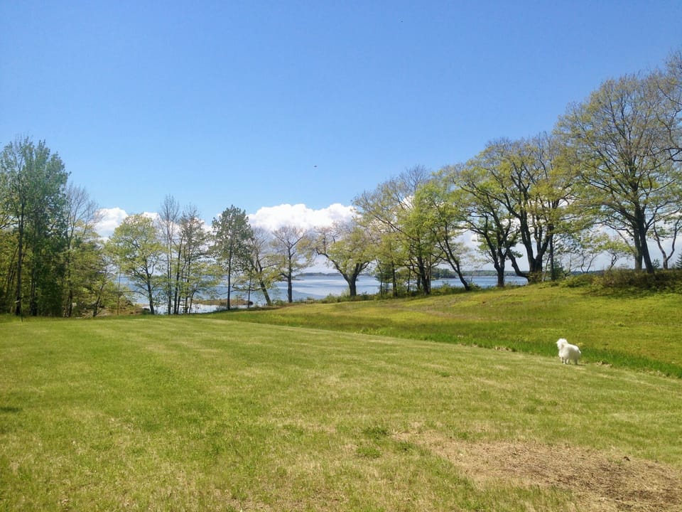 Take path along field to dock