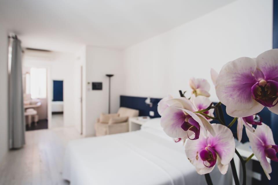 Standard Double or Twin Room | Premium bedding, down comforters, minibar, desk