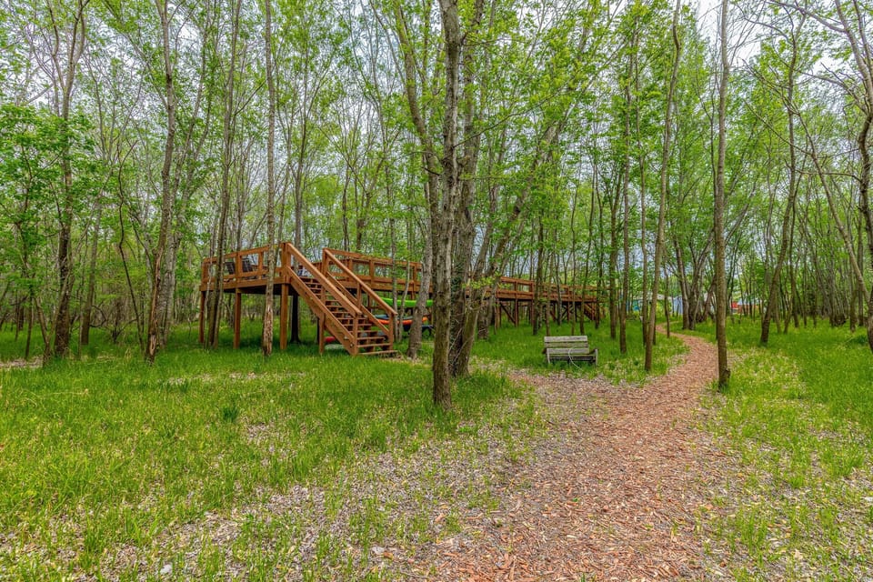 Boardwalk to the lake