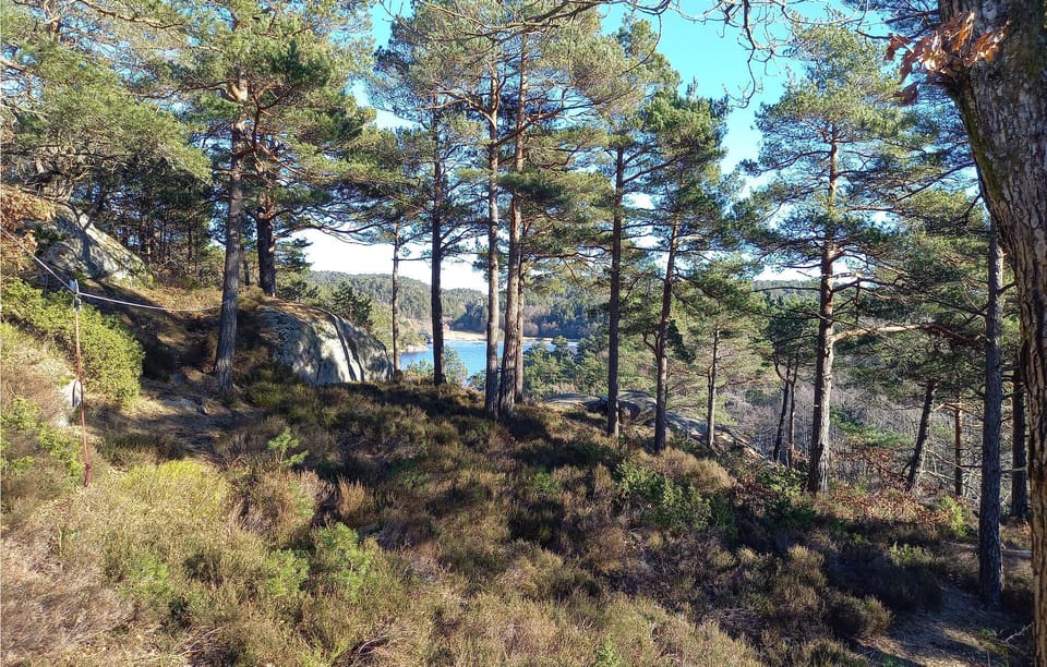 view-from-room