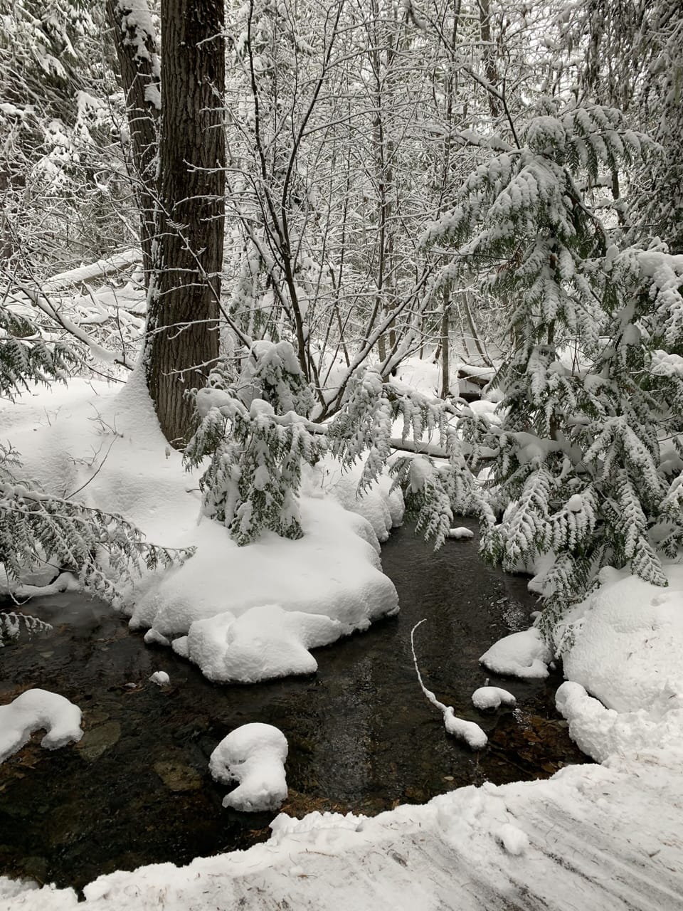 Topping creek and trails 