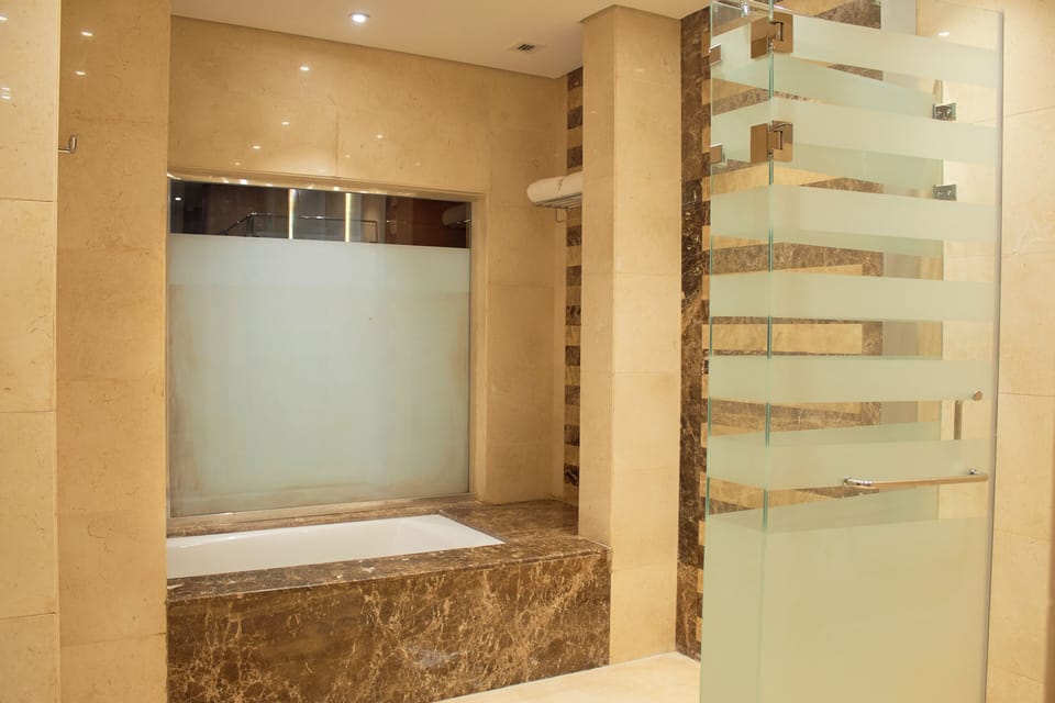 Rainfall showerhead, hair dryer, bidet, towels