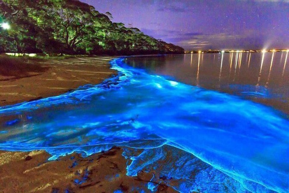 Come out and experience what nature has to show you at this remarkable spot, where you will witness a phenomenon that only occurs in certain parts of the world.