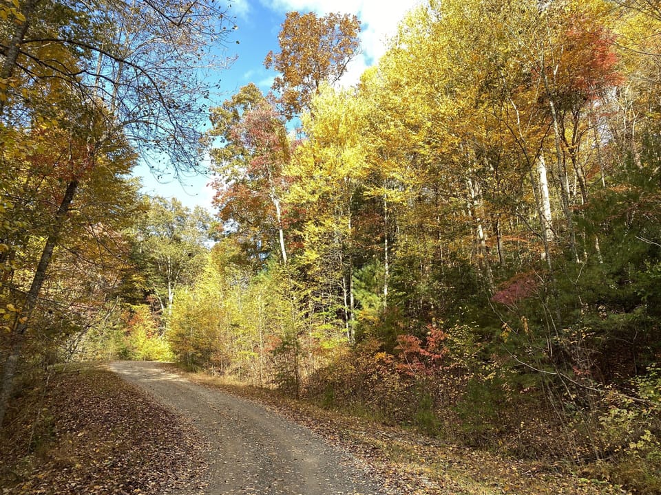 The road to the lodge