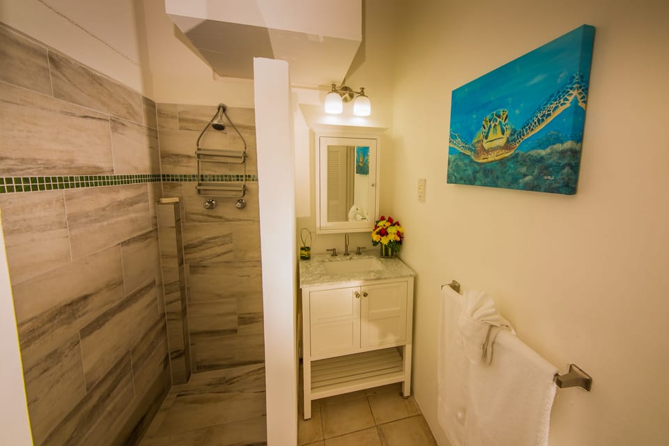 Apartment, 1 Bedroom | Bathroom | Shower, hair dryer, towels, soap