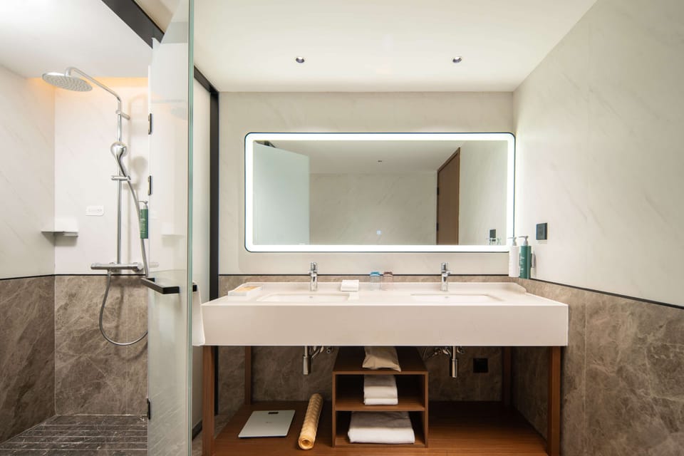 Deluxe Room, 1 King Bed | Bathroom shower