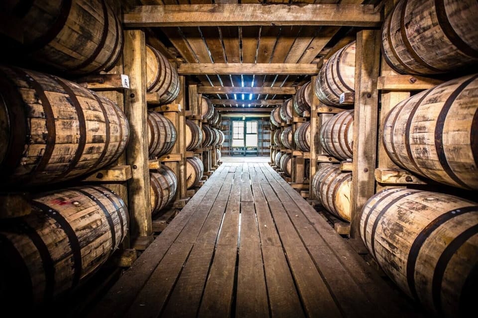 Take a bourbon tour. There's a ton of great distilleries minutes away.