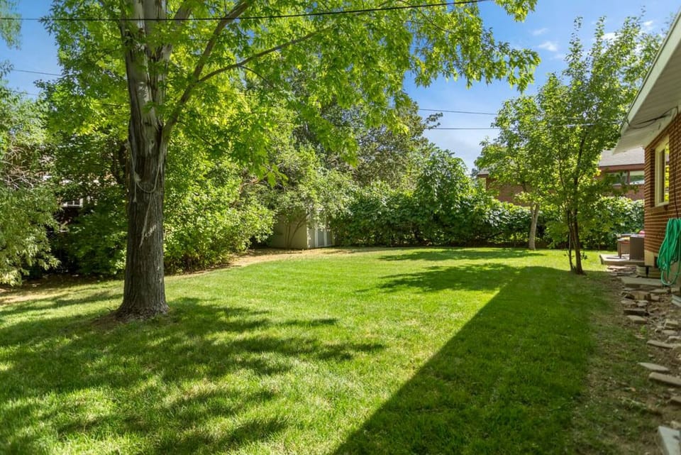 Our large backyard with lush grass, trees, and other vegetation bordering the entirety of it.