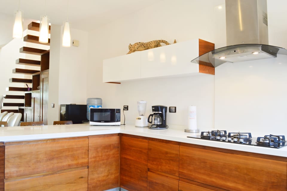 Apartment | Private kitchen | Full-size fridge, microwave, oven, stovetop