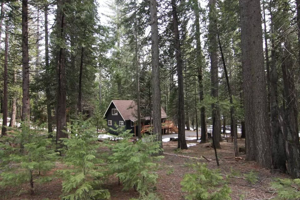 View of the back of the house, which is nestled in the forest. 