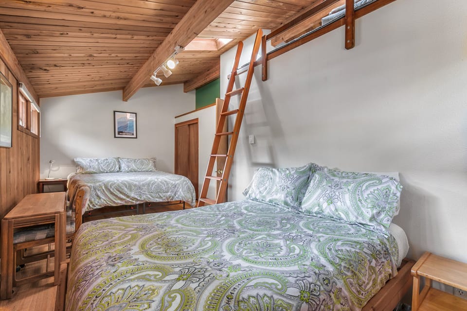 Large master bedroom with king, queen, and ladder to a fun loft space