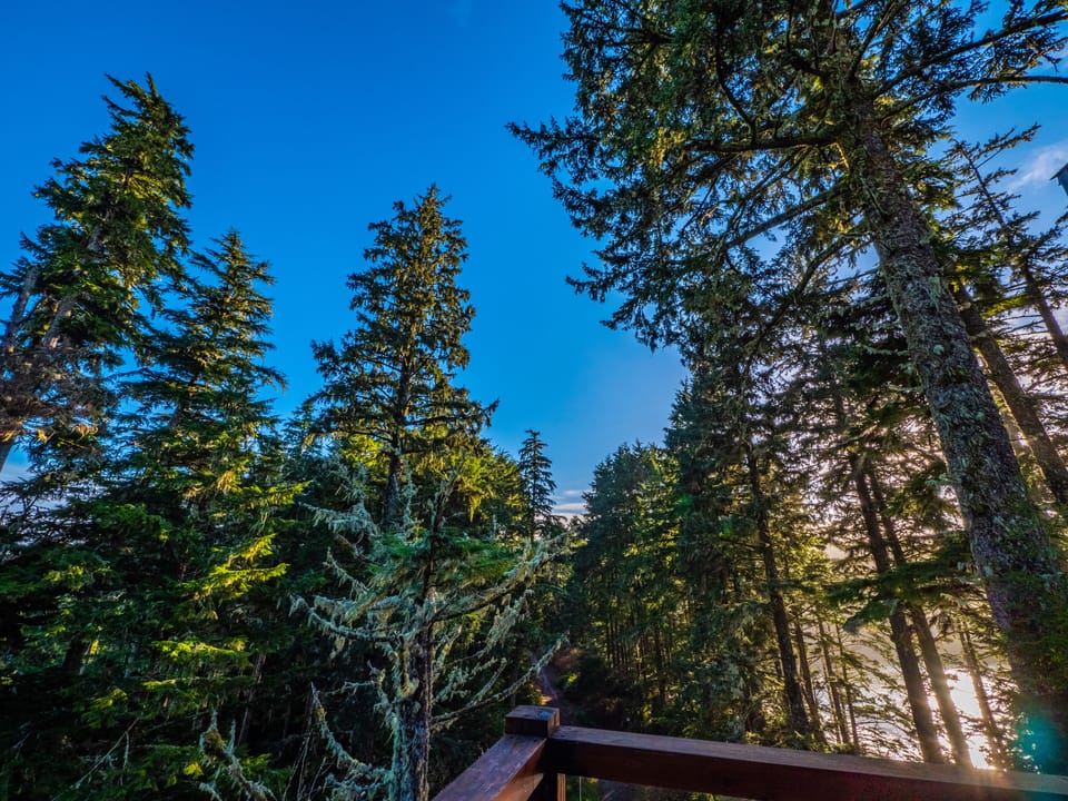 View from property