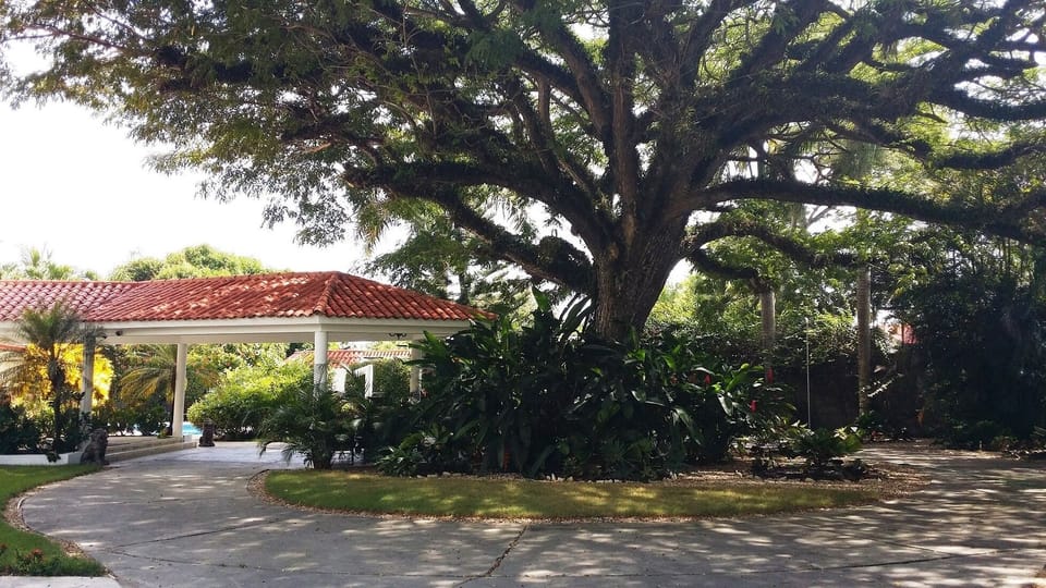 Property grounds