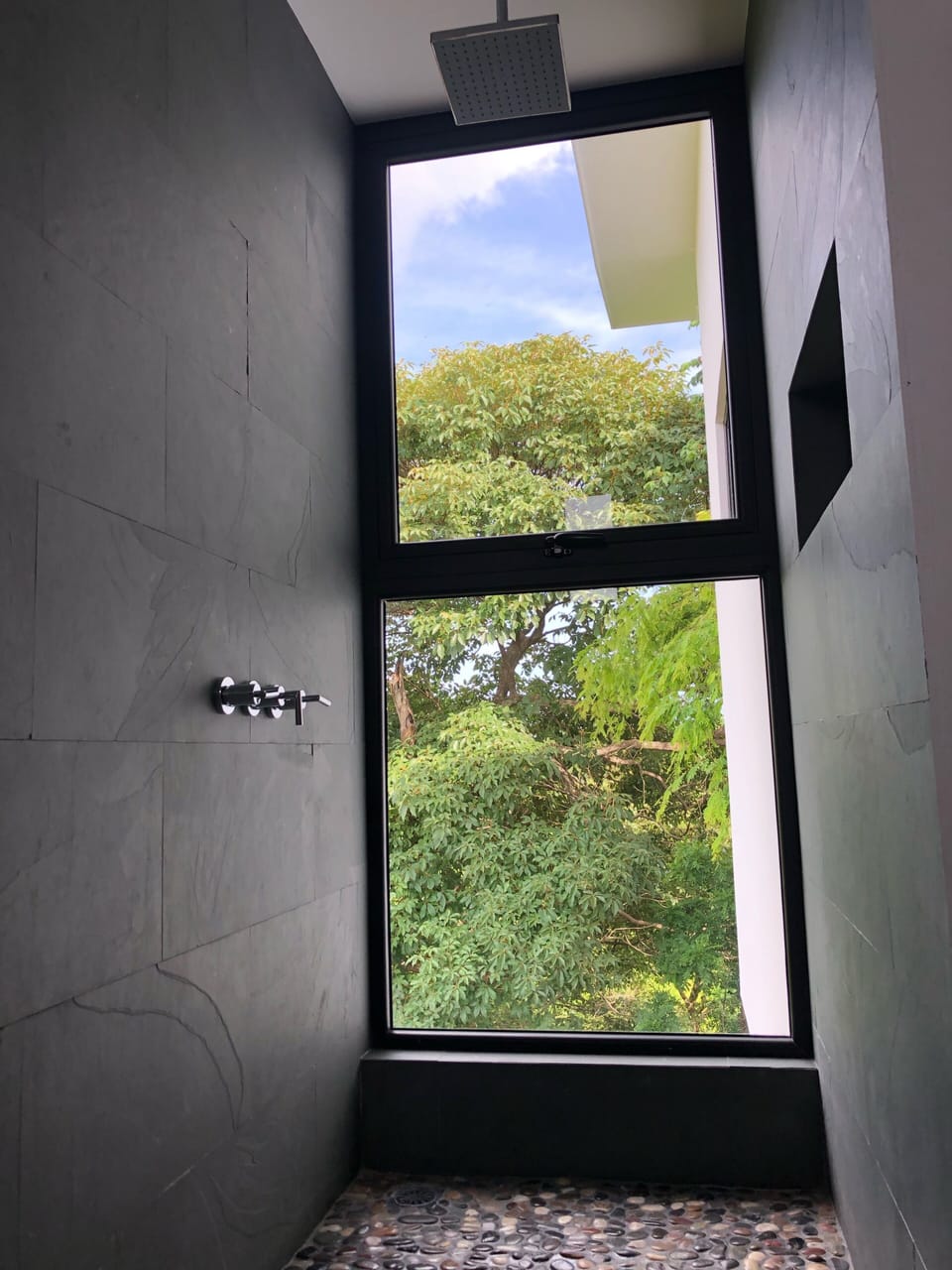 View from shower in primary en suite bathroom. A favorite place in the house. 