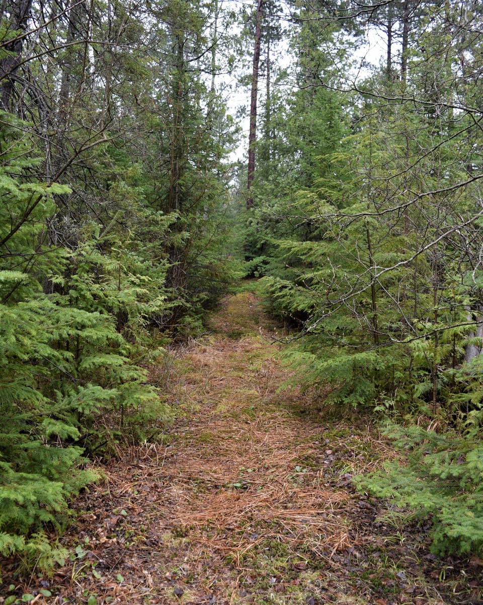 Trail from house to ORV and North County Trail