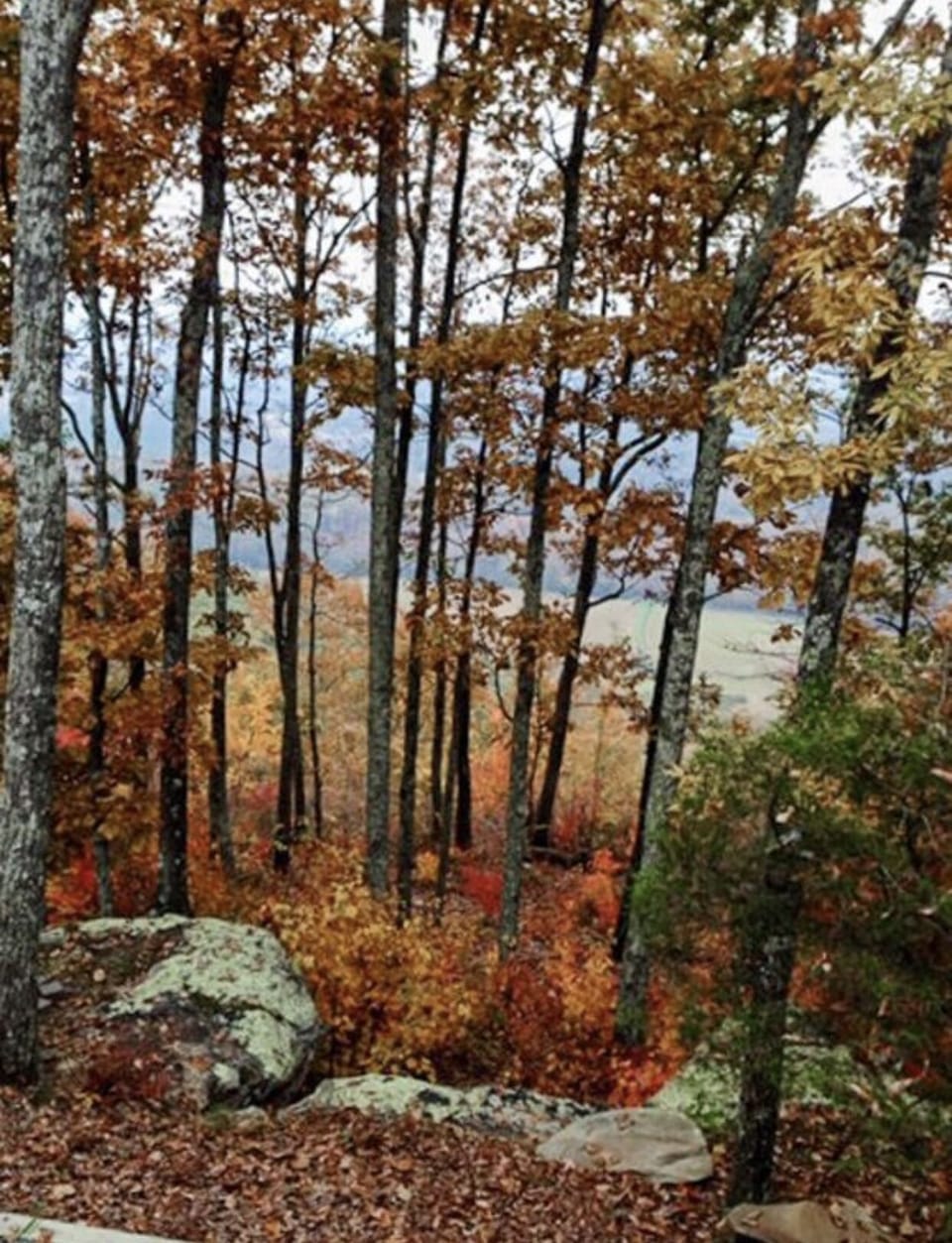 Fall. The leaves are beautiful changing colors.