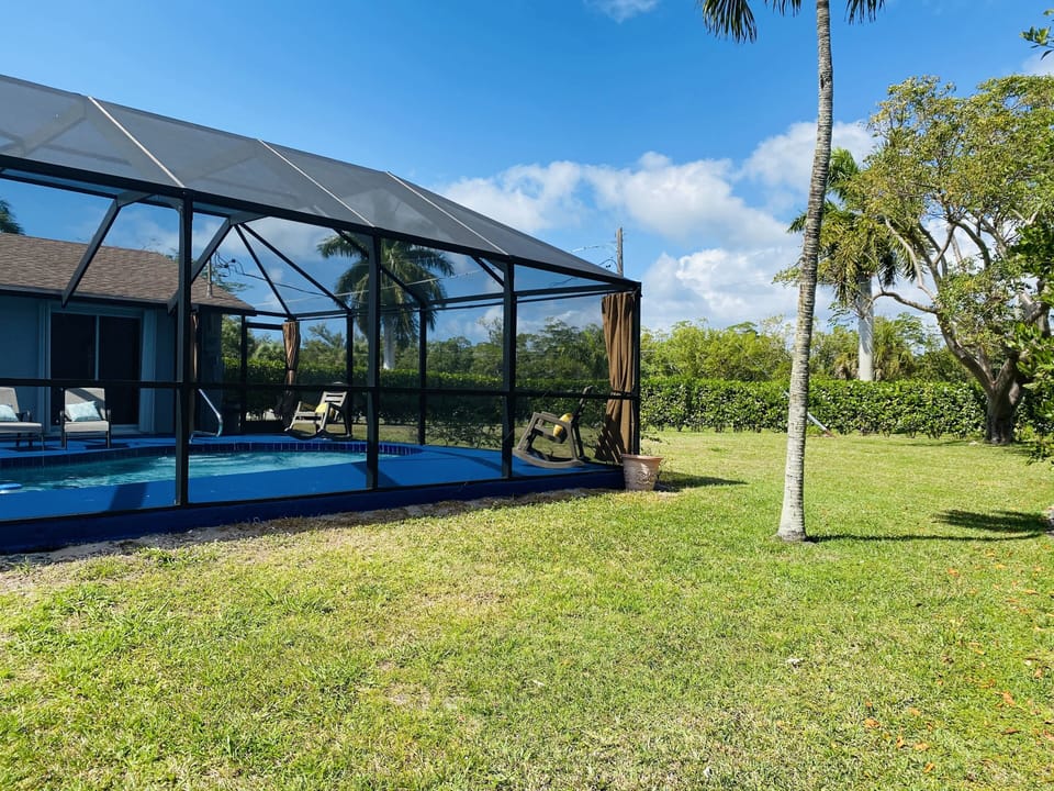 Backyard