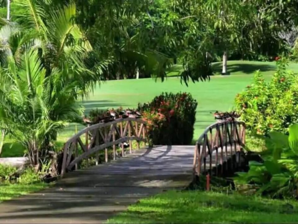 Bridge in the golf course
