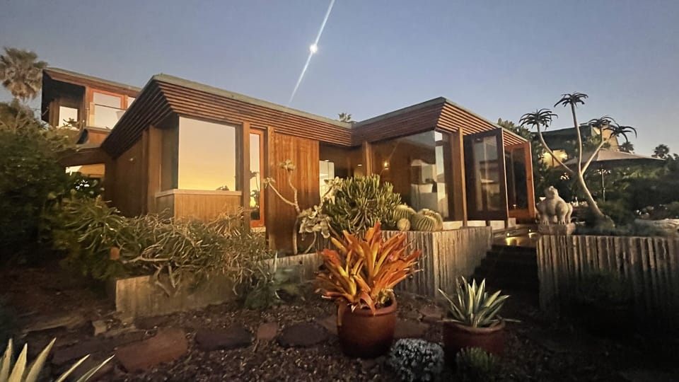 Our ocean-facing garden