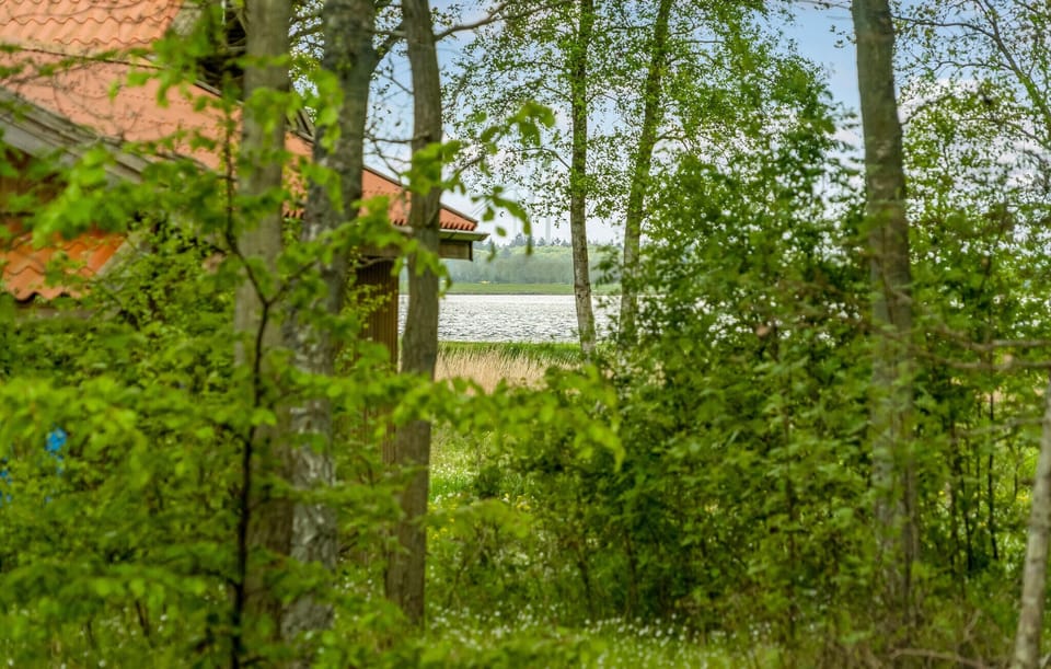 view-from-room